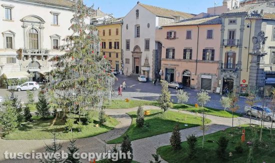 Il bosco di Natale a piazza del Comune