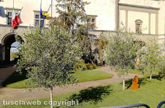 Il bosco di Natale a piazza del Comune