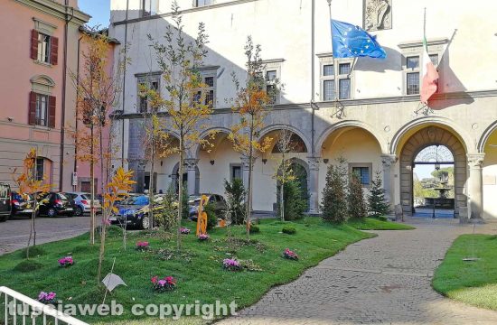 Il bosco di Natale a piazza del Comune