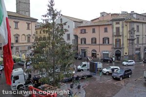 Viterbo - Montaggio dell'albero di Natale