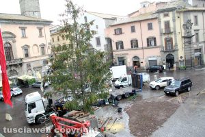 Viterbo - Montaggio dell'albero di Natale