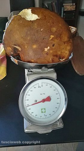 Preso porcino di 1470 grammi