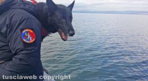 Montefiascone – Le ricerche dello scomparso – Carabinieri – Un cane molecolare