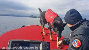 Montefiascone – Le ricerche dello scomparso – Carabinieri – Un cane molecolare