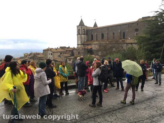 Cultura - La passeggiata "Tobia - San Martino al Cimino olio e vino"