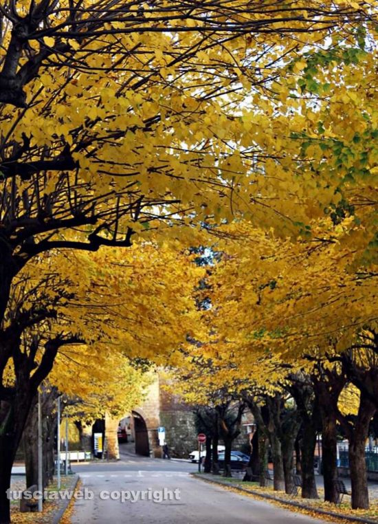 Autunno a Tuscania
