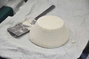 Viterbo - Caseificio Cioffi - La ricotta