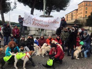 Viterbo - "Amici del Golden Retriever" 