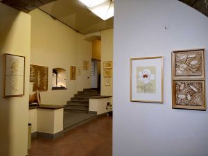 Viterbo - Inaugura la mostra "Natura segreta"