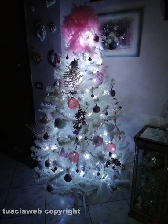 L'albero di Serena Onofri 
