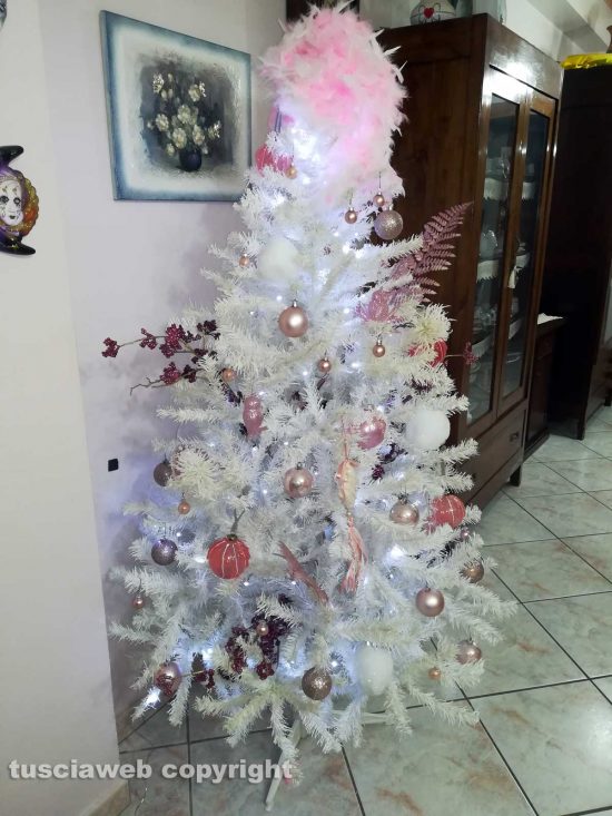 L'albero di Serena Onofri 