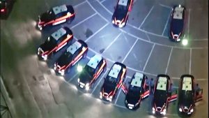 Nuova Cupola di Cosa Nostra - Il blitz dei carabinieri