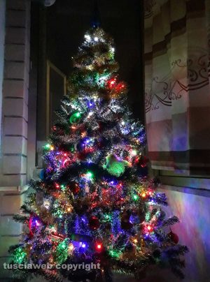 Viterbo - L'albero di Natale di Massimo e Marco Serafini