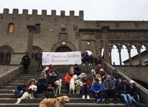 Viterbo - "Amici del Golden Retriever" 