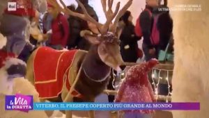 Viterbo - La vita in diretta al caffeina Christmas village