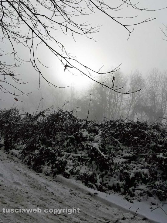 La Faggeta innevata