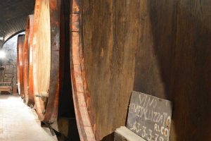 Castiglione in Teverina - Il museo del Vino