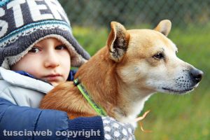 Viterbo - La benedizione degli animali
