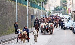 Viterbo - La benedizione degli animali