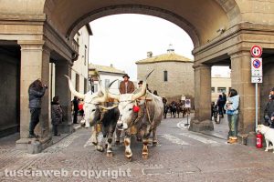 Viterbo - La benedizione degli animali