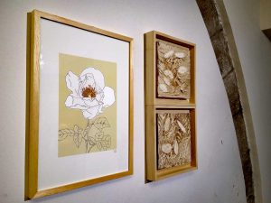 Viterbo - La mostra Natura segreta
