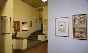 Viterbo - La mostra Natura segreta