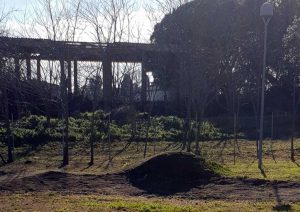 Montalto di Castro - Il complesso in stato di abbandono nei rpessi dell'area dove sorgerà la nuova Pump Truck