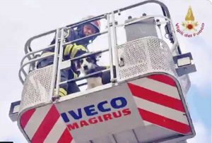 Ancona - Il salvataggio del cane 