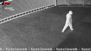 Mafia nel Viterbese - Un'immagine delle investigazione dei carabinieri