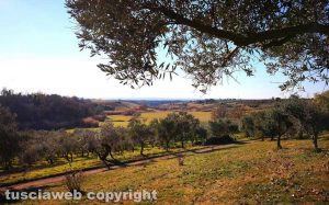 Strada Freddano - La campagna viterbese vista da Castelloscuro
