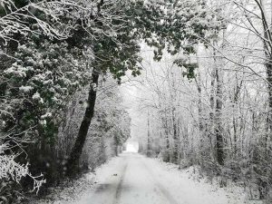 Neve a Torre Alfina