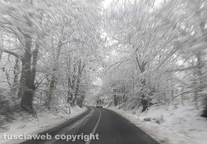 Maltempo - La neve sui Cimini - La strada Cimina - Neve