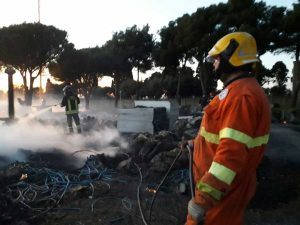 Tarquinia - Volontari Aeopc in azione per alberi caduti e un incendio 