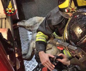 La Spezia - L'intervento dei vigili del fuoco
