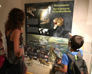 La mostra “Dinosauri - Terra dei Giganti”