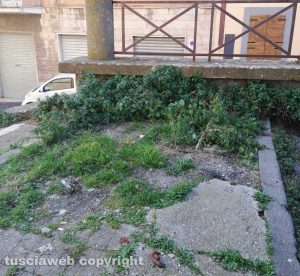 Viterbo - Il quartiere Trinità nel degrado