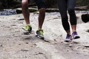 “Nel paesaggio: tra corpo e parola, tra movimento e narrazione"