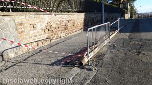Montefiascone - Il palo caduto in via Alcide de Gasperi 