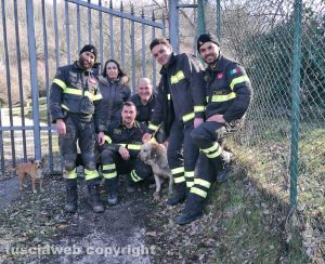 Viterbo - I vigili del fuoco con il labrador recuperato