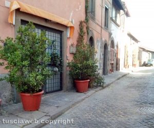 Viterbo - Pianoscarano - Piante sui marciapiedi