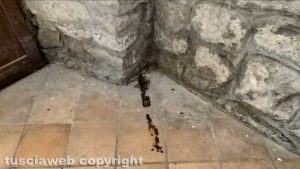 Montefiascone - Il degrado nella Madonna dell'Arco