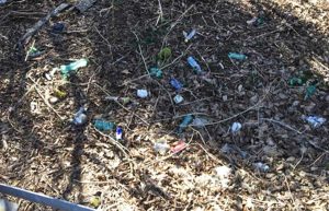 Viterbo Clean up ripulisce un tratto di bosco sulla Cimina