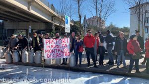 Viterbo - La protesta dei pastori