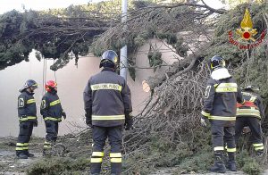 Roma - Intervento dei vigili del fuoco per le forti raffiche di vento