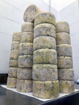 Viterbo - I formaggi della Piccola Formaggeria Artigiana