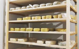 Viterbo - I formaggi della Piccola Formaggeria Artigiana