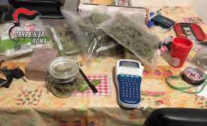 Cerveteri - Gli 11 kg di droga sequestrata