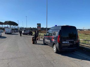 Viterbo - I controlli dei carabinieri con le unità cinofile 
