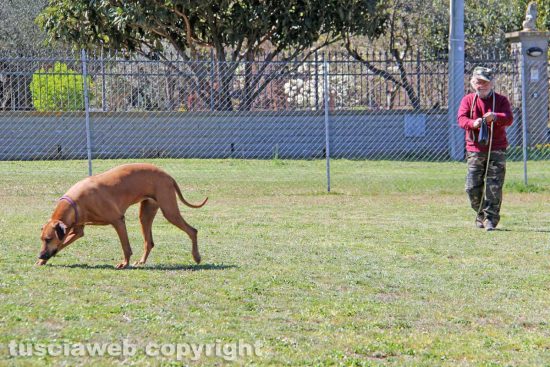 Viterbo - L'area di sgambamento di Tusci@cani