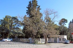 Viterbo - Il saccheggio delle Terme ex Inps
